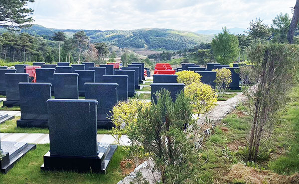 園區(qū)環(huán)境